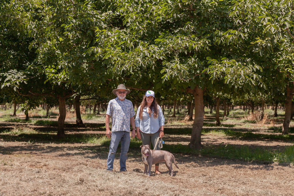 Old Dog Ranch: The Inner Workings of an Organic Walnut Orchard