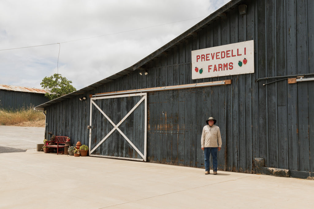 Prevedelli Farms: An Organic Haven of Lemons, Berries and More